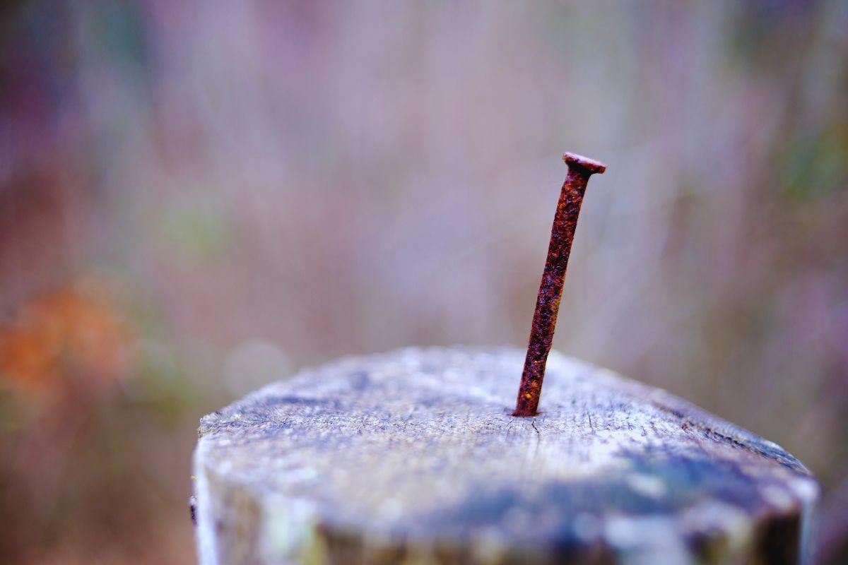 i benefici del chiodo arrugginito nelle piante