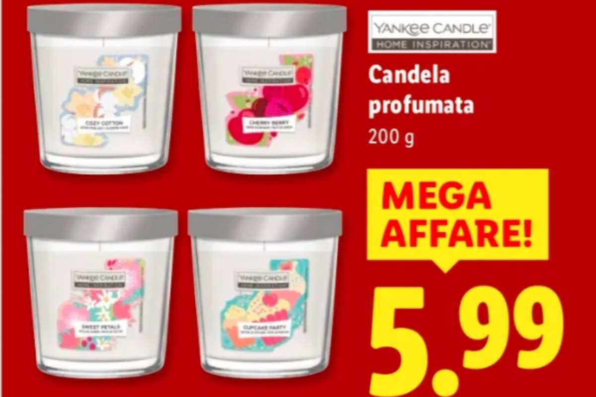 yankee candles volantino lidl 