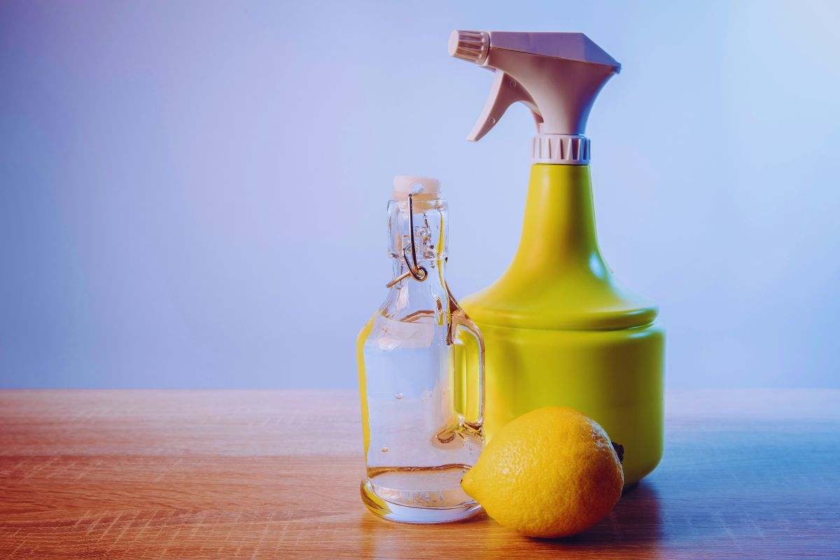 i metodi naturali per eliminare i cattivi odori dal frigo