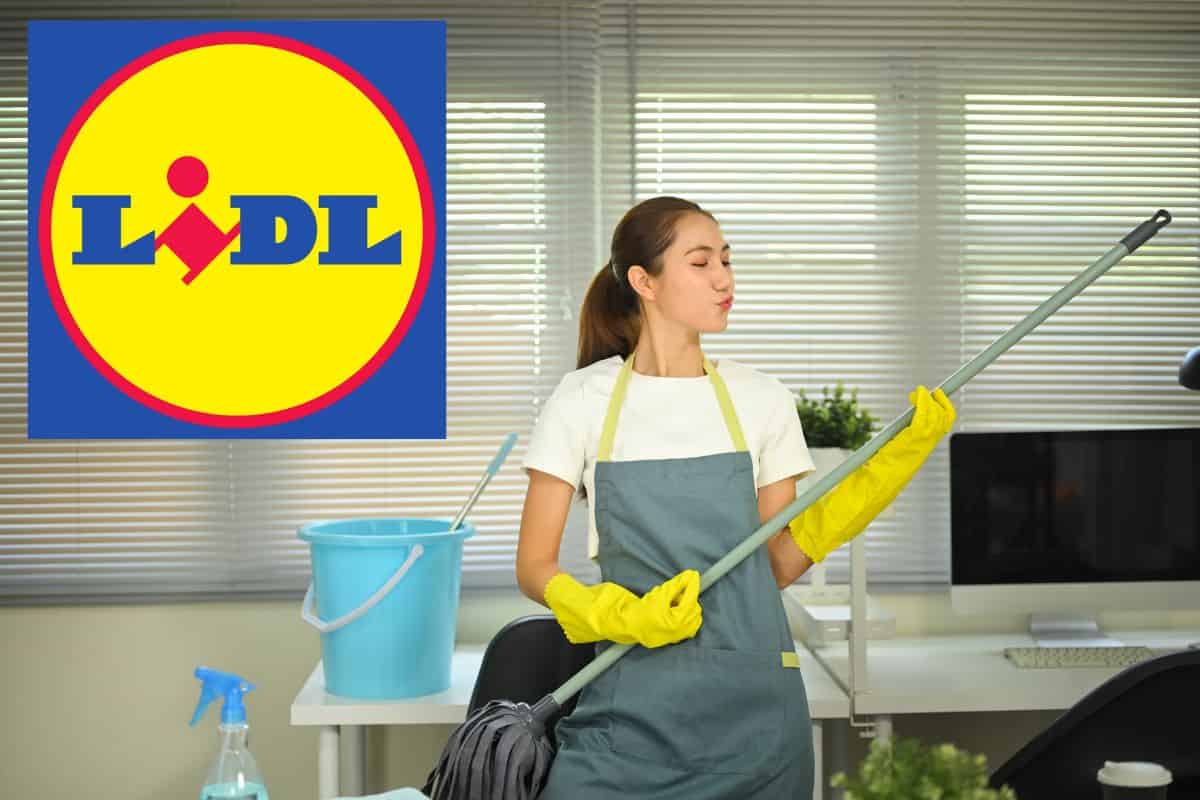 oggetto per igienizzare casa in offerta da lidl