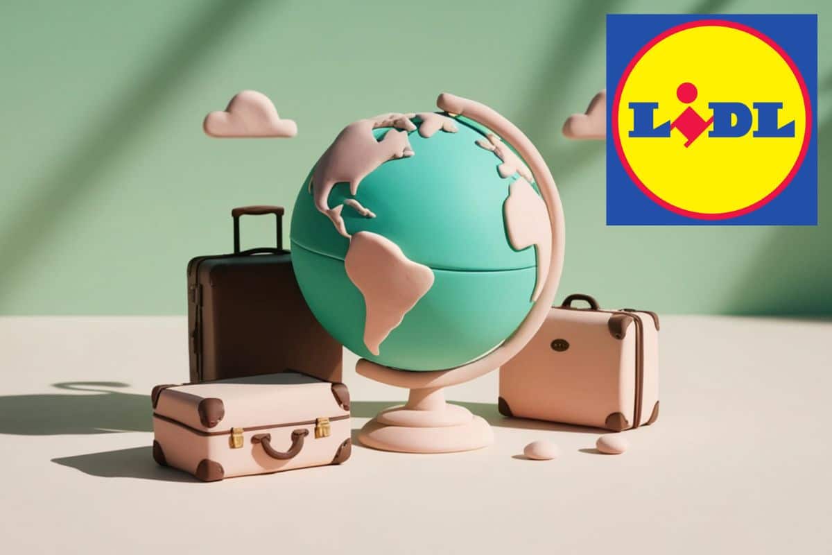 offerta valigia lidl